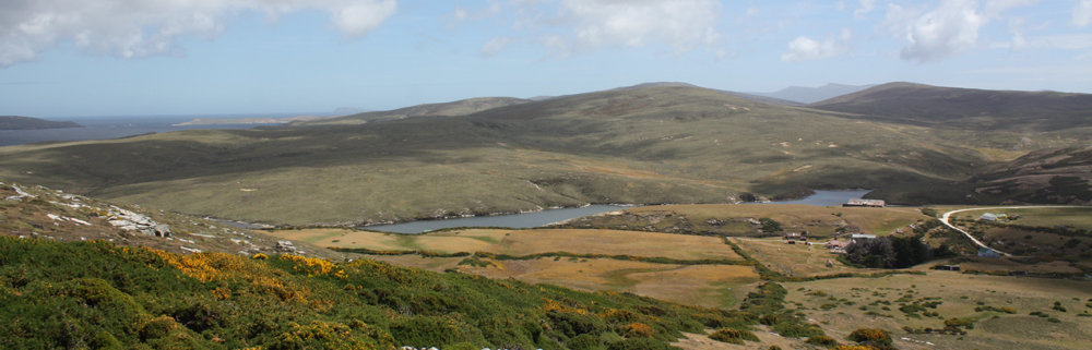 ROY COVE, West Falklands